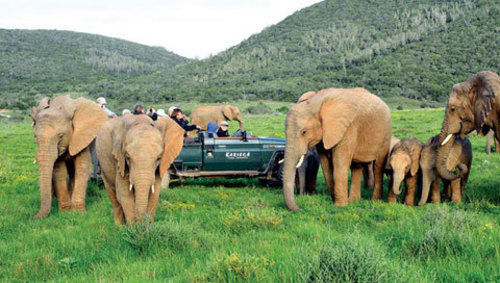 Kariega Game Reserve Settlers Drift Alexandria  Exterior photo